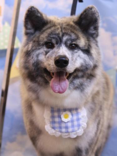 20240320むぎくん